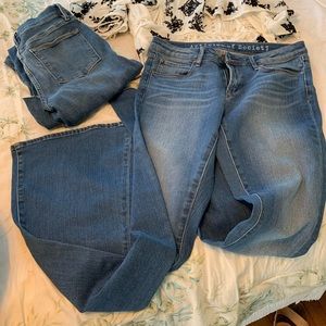 Articles of Society bridget flair